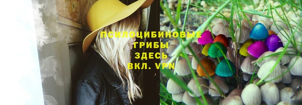 мяу мяу мука Арсеньев