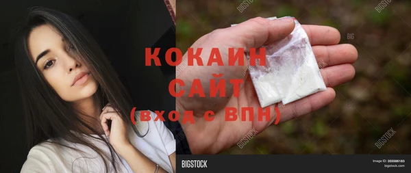 молекула духа Балахна