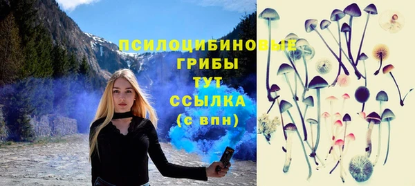 мяу мяу мука Арсеньев